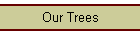 Our Trees